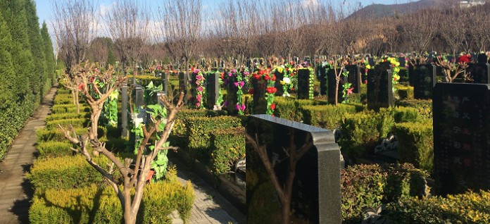 西安墓園花多少錢-西安市墓園花多少錢？