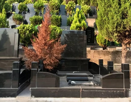 處理遺體和骨灰的權(quán)利歸屬于誰(shuí)？888-奉正塬公墓