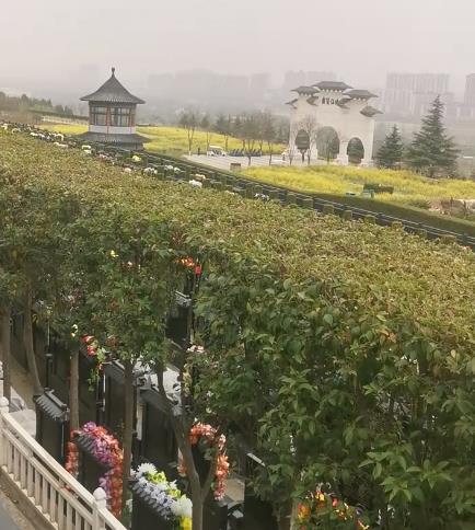 西安霸陵新區(qū)寶玉園，視野開闊，綠樹成蔭！